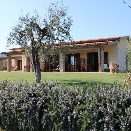 Agriturismo Il Vecchio Mandorlo Castiglione della Pescaia Extérieur photo