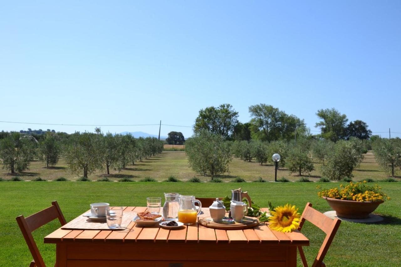 Agriturismo Il Vecchio Mandorlo Castiglione della Pescaia Extérieur photo