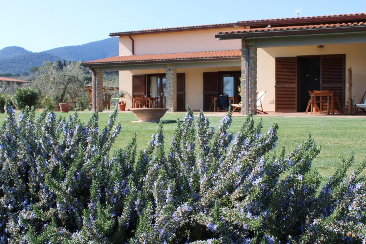 Agriturismo Il Vecchio Mandorlo Castiglione della Pescaia Extérieur photo