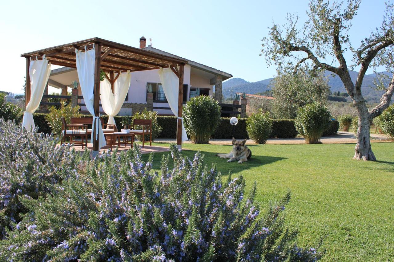 Agriturismo Il Vecchio Mandorlo Castiglione della Pescaia Extérieur photo
